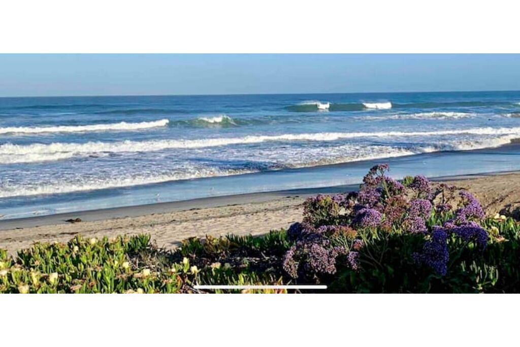 Sun-loungers, beach towels