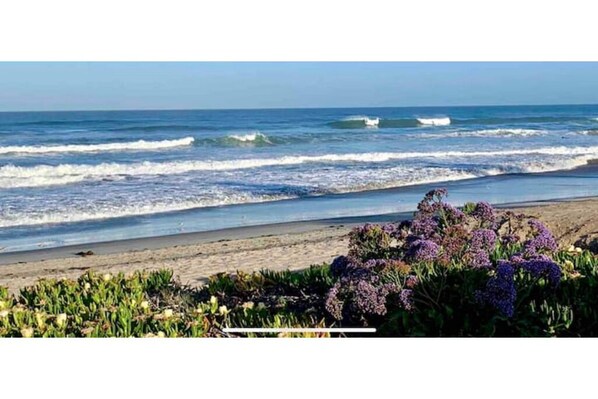 Sun loungers, beach towels