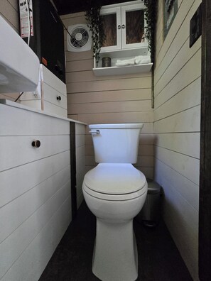 Shower, towels, soap, toilet paper