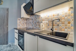 Fridge, microwave, oven, stovetop - Karlovy Cute Inn: 1BR apartment w/ Elegant bath (Karlovy Vary)