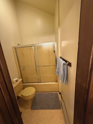 Hair dryer, towels, soap, toilet paper