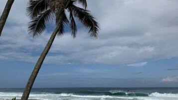 Una playa con palmeras y olas del océano.