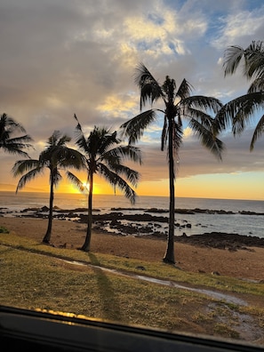 Beach - Turtle Bay Studio (Kahuku)