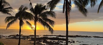 Turtle Bay Studio