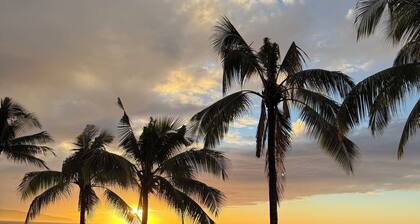 Turtle Bay Studio