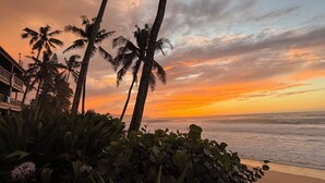 Une vue sur la plage, avec des palmiers et un coucher de soleil.