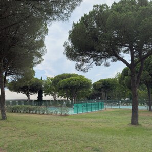 Sport court