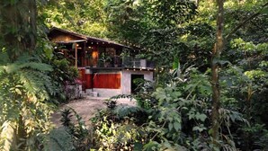 A rustic wooden building surrounded by dense foliage, with a balcony overlooking a garden area. - New years special! Your private jungle escape! (Quepos)