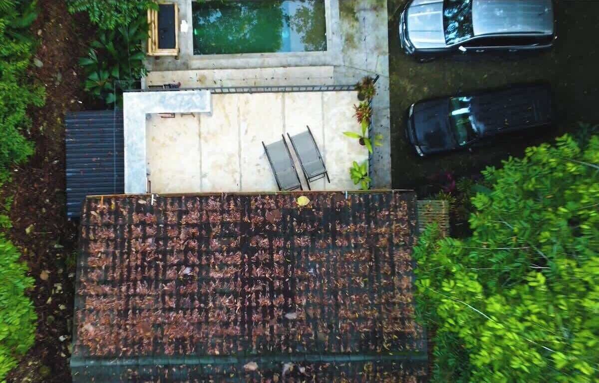 Imagen de perfil del propietario o de la propietaria