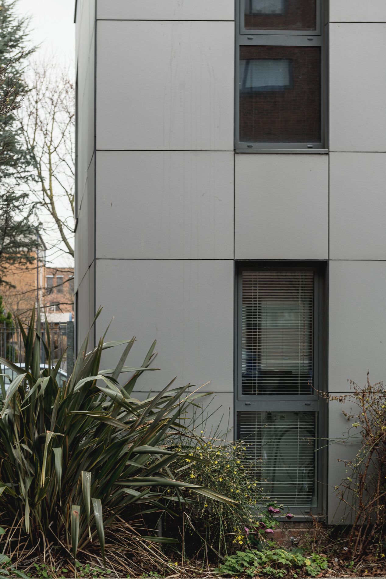 A modern building with a flat facade, large windows, and a small garden area with plants and shrubs.