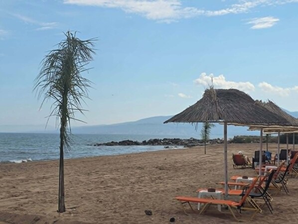 A beach with a palm tree, a thatched-roof structure, and sun loungers.
