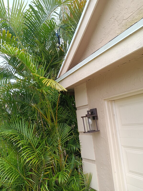 Exterior detail - Quiet 1-bedroom, private bath in wonderful Wellington. Gated, safe community. (Wellington)