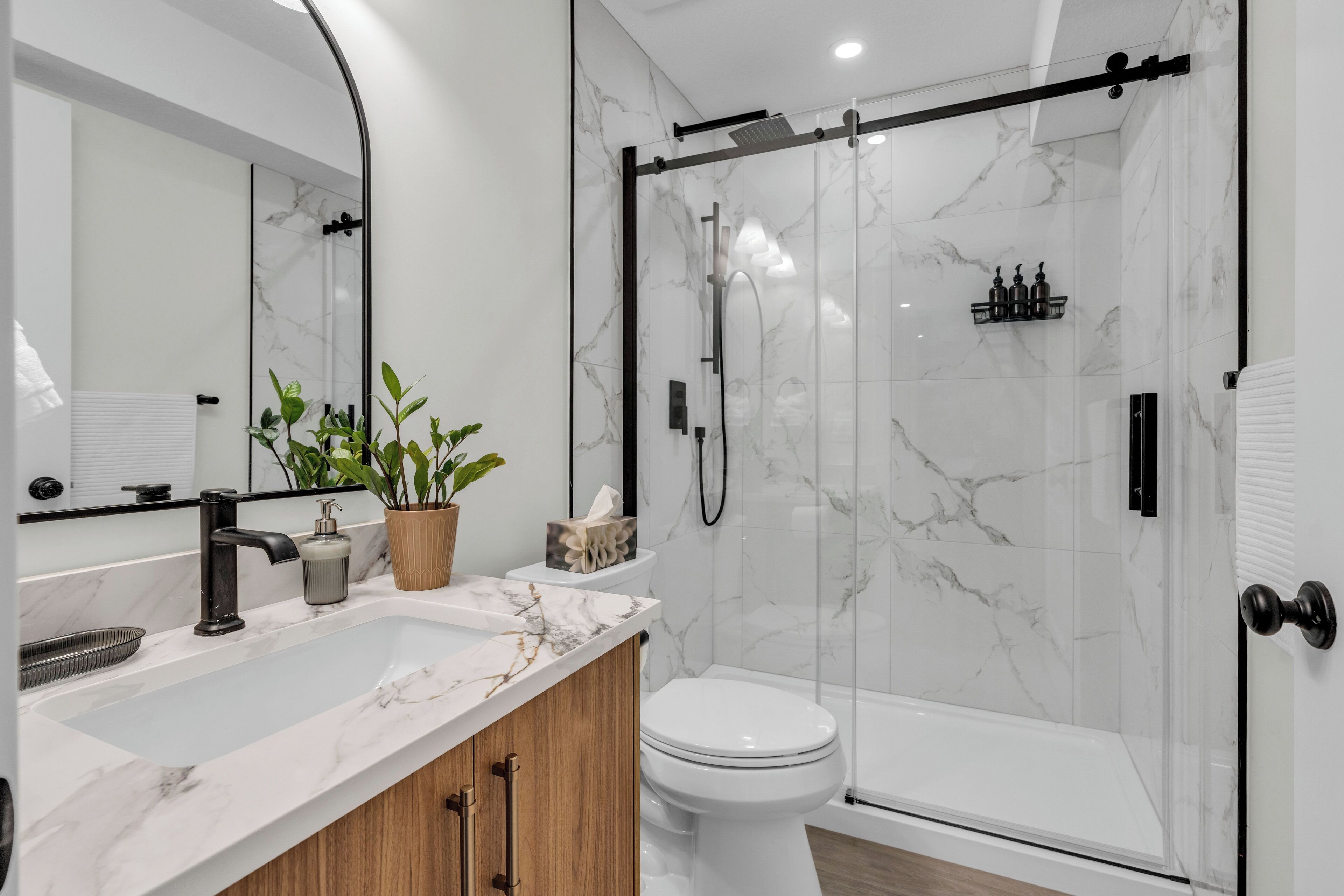 Hair dryer, bidet, towels, soap