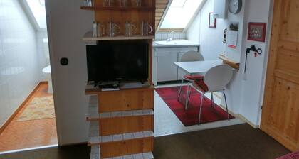 Vacation apartment in the Franconian Lake District (up to 2 persons)
