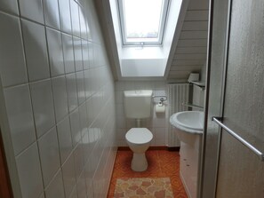 Toallas y papel de baño 