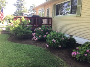 Overnattingsstedets uteområder