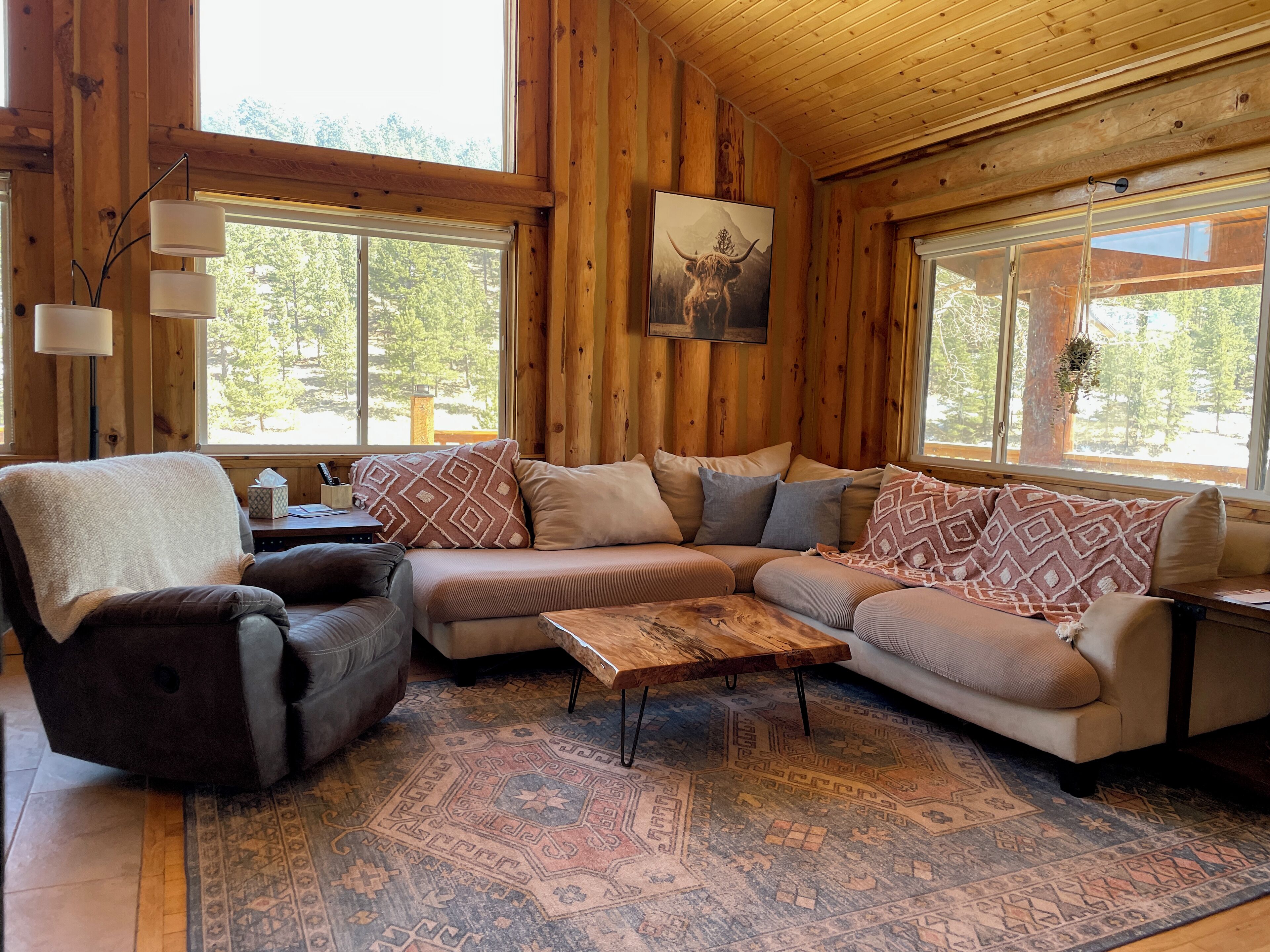 TV connectée, cheminée