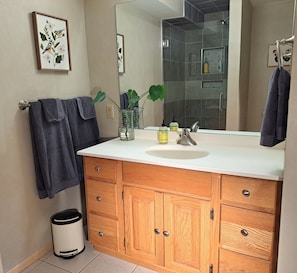 Shower, hair dryer, towels, soap