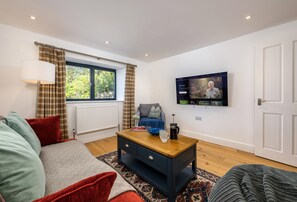 Smart TV y chimenea