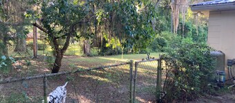 Sweet 3/2 Newnans Lake Home in Gainesville, FL.