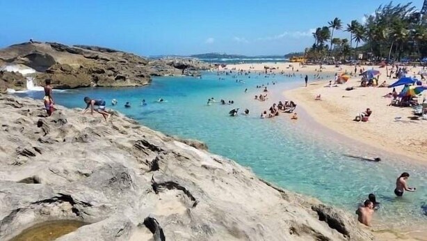 A beach with clear water, rocky areas, and palm trees. - DtMF Experience at his Hometown in Vega Baja - Near Beach and Natural Springs! (Vega Baja)