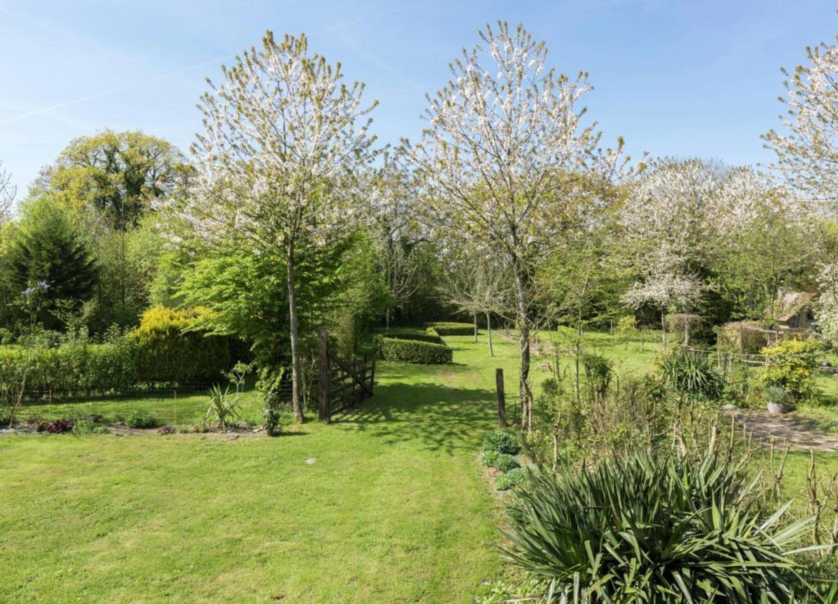 Un jardin bien entretenu, avec différents arbres et arbustes, une pelouse soigneusement taillée et un ciel dégagé.