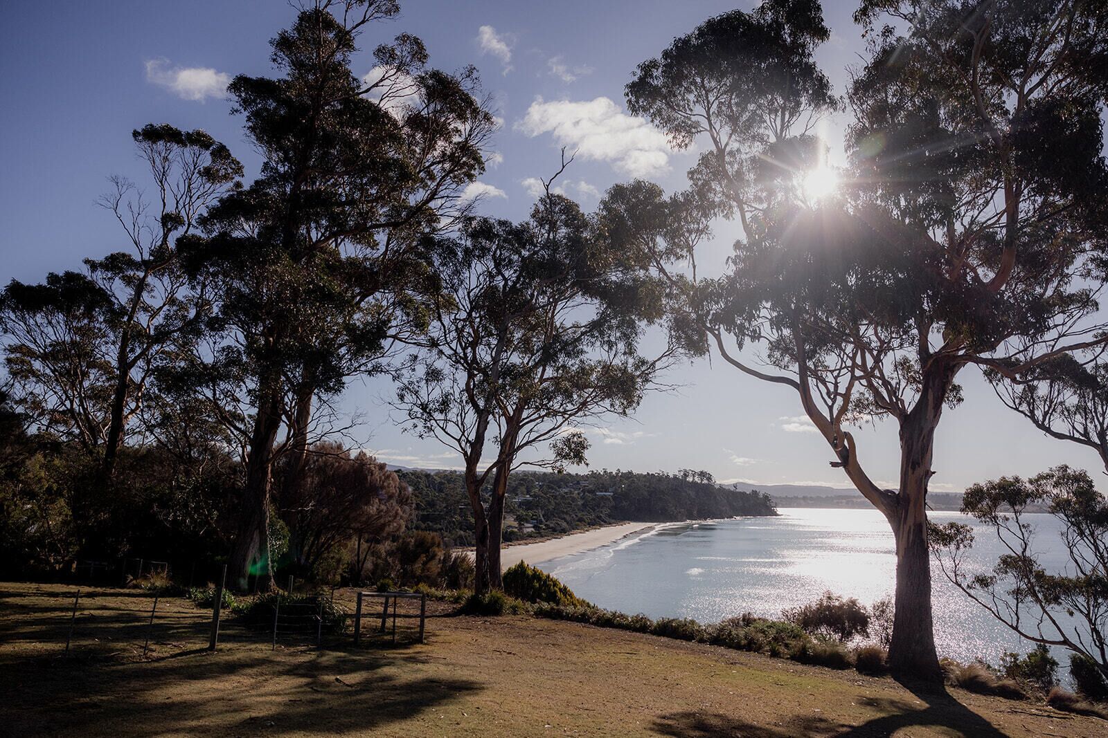 Eine Küstenlandschaft mit Bäumen, einem Sandweg und Blick auf das Meer.