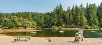 Cozy studio cabin in Arnold California with WiFi, AC