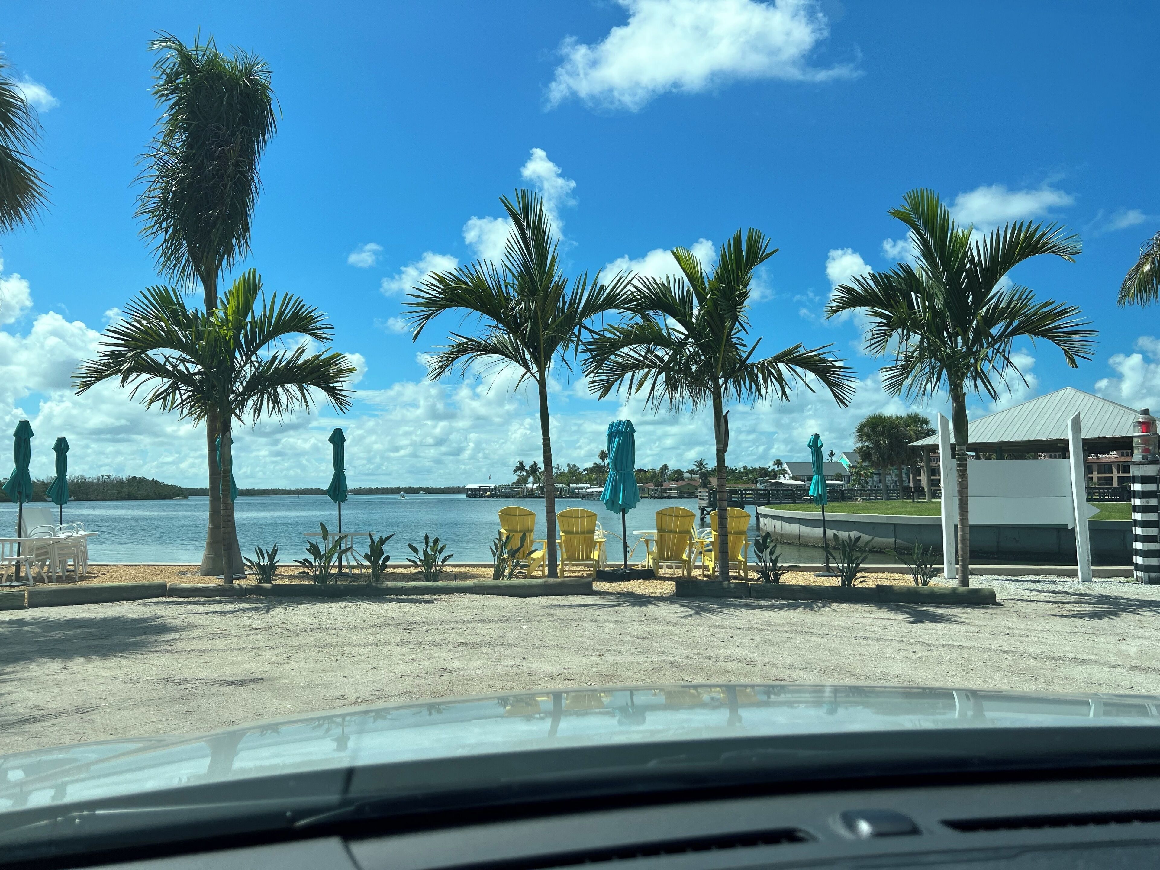 A beachside view with palm trees, chairs, and a view of the water.