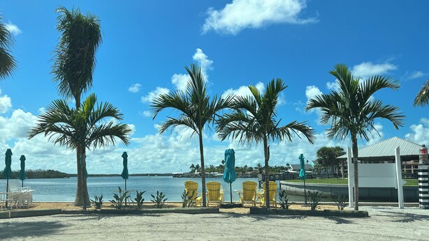 Une vue sur la plage, avec des palmiers, des chaises et un panorama sur l’eau.
