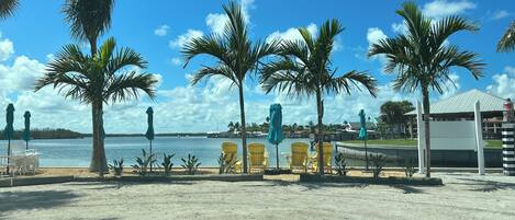 A beachside view with palm trees, chairs, and a view of the water.
