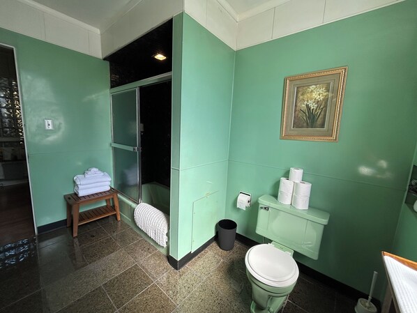 Une salle de bain avec un mur vert, des toilettes, un lavabo avec un miroir et un espace douche.