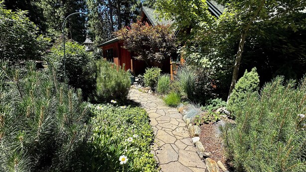 A stone pathway leading to a rustic wooden building surrounded by dense greenery and trees. - Walk to Downtown Graeagle, Mill Pond & Pickleball (Graeagle)