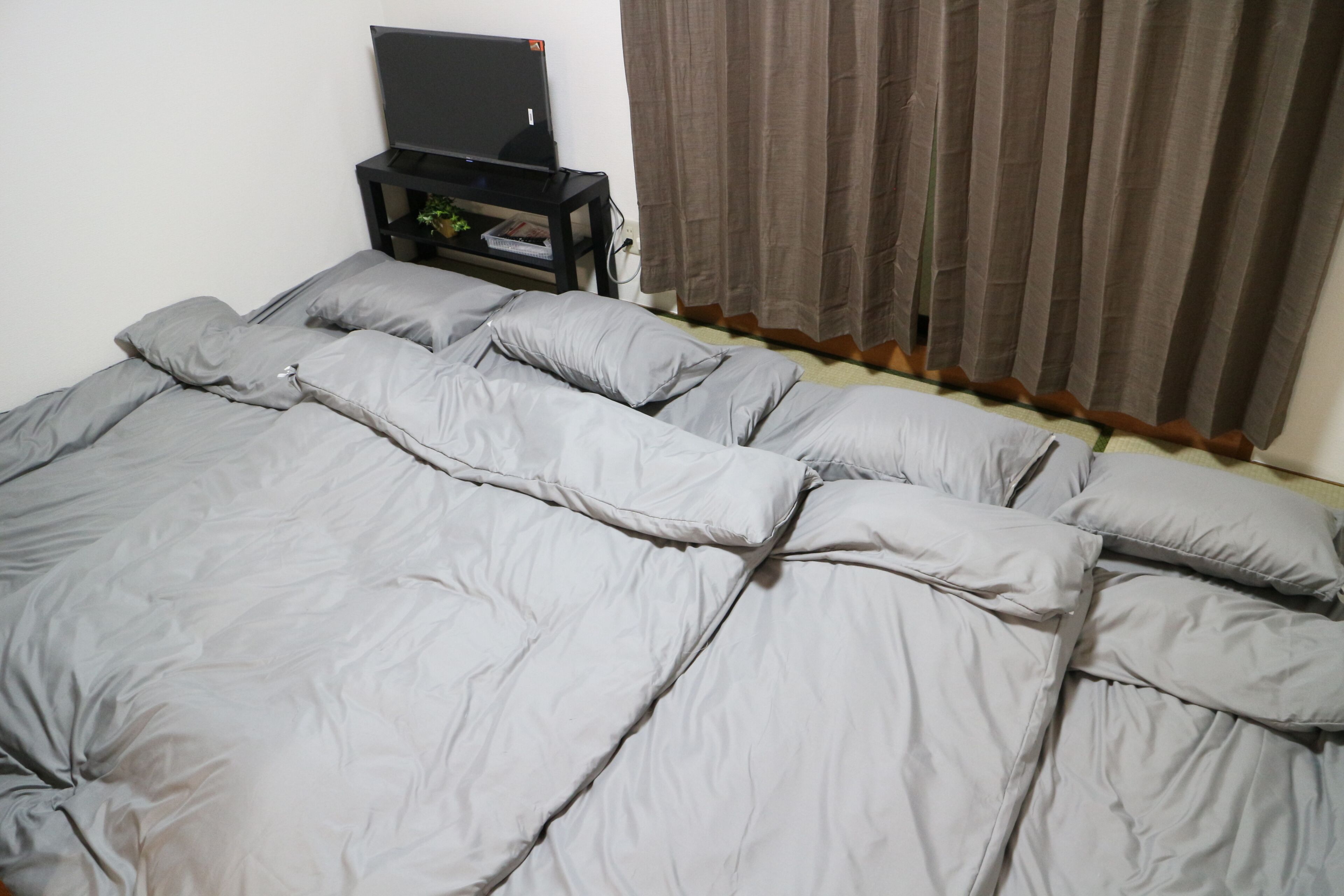 Classic Apartment, Lanai | Free WiFi