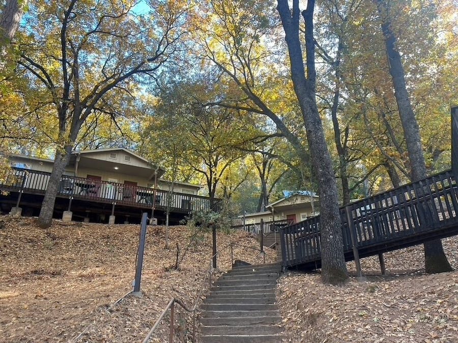 Un escalier menant à un bâtiment entouré d’arbres aux feuilles d’automne.