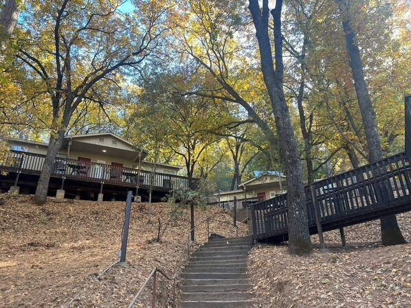 A staircase leading to a building surrounded by trees with autumn foliage. - Yosemite Bug Rustic Mountain Resort (Midpines)