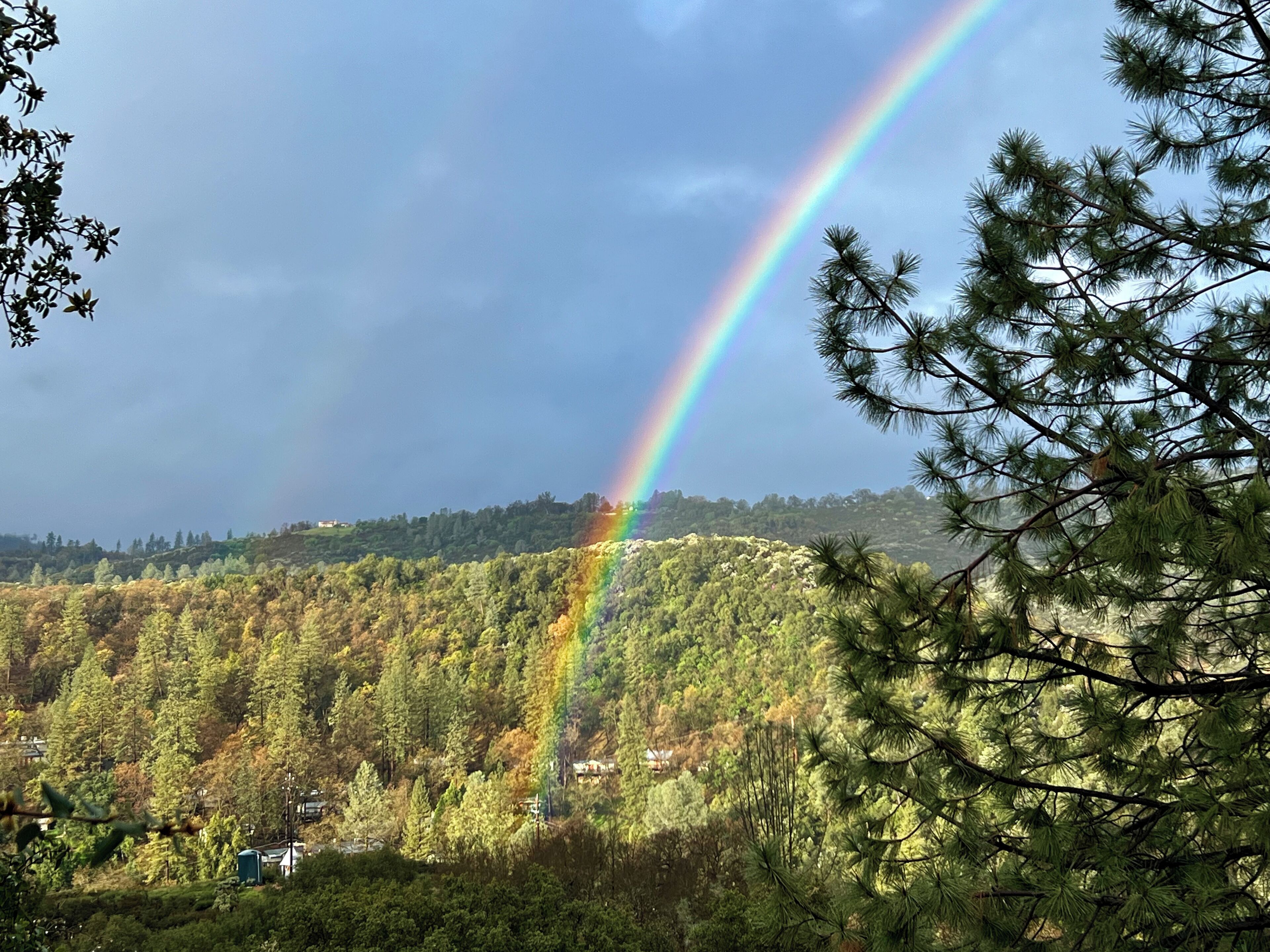 Un arc-en-ciel au-dessus d’une colline boisée, avec des maisons en arrière-plan.