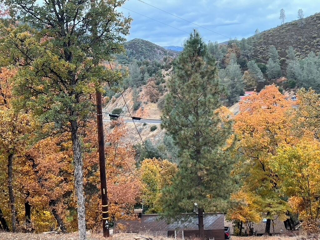 A mountainous landscape with autumn foliage, a wooden cabin, and a utility pole.