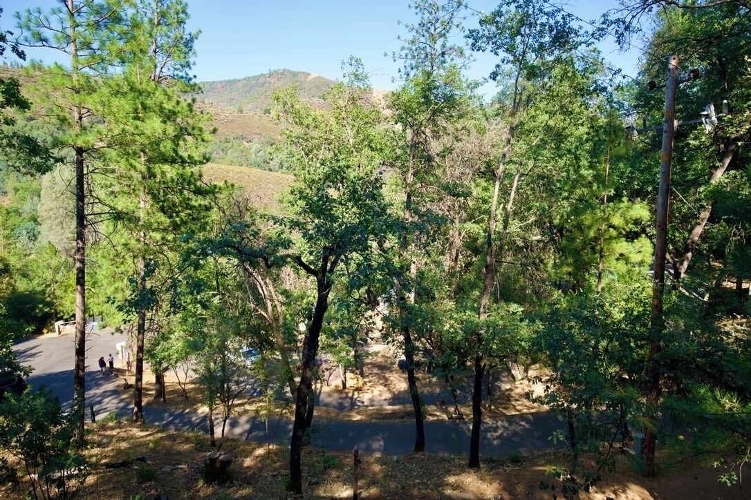 A forested area with a dirt path and a road in the background.