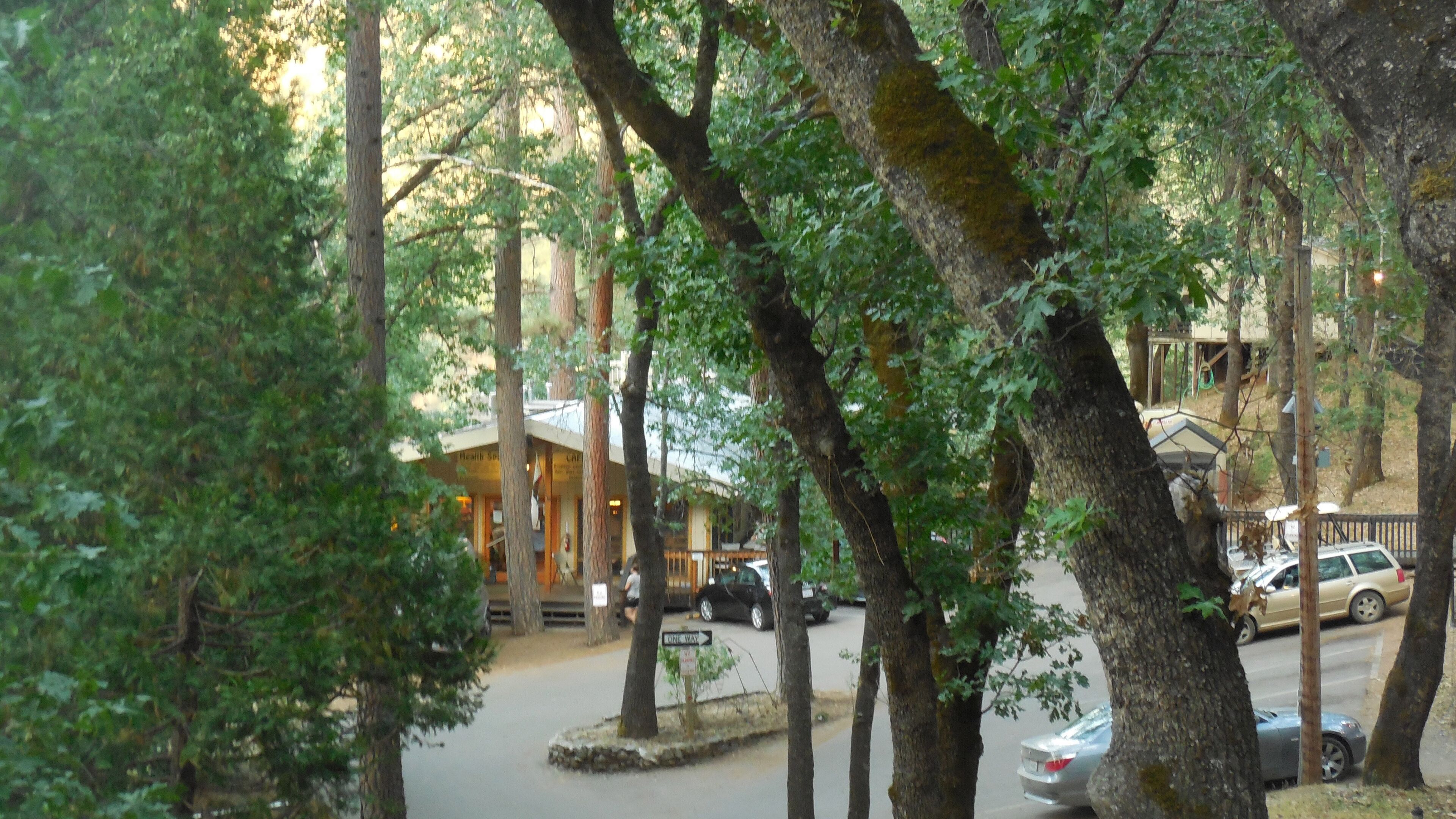 Un edificio con un espacio de estar al aire libre cubierto, rodeado de árboles.