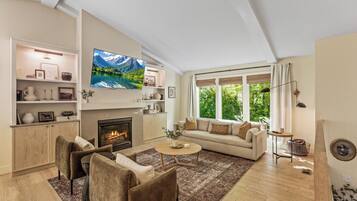 Smart TV, fireplace, books