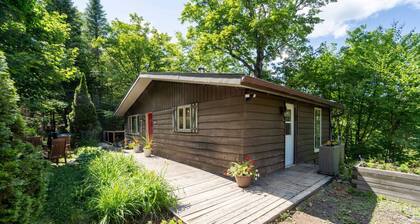 Shack Rustic Chic Chalet Spa, Firepit, Near Lake Access