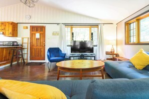TV, fireplace, books, offices