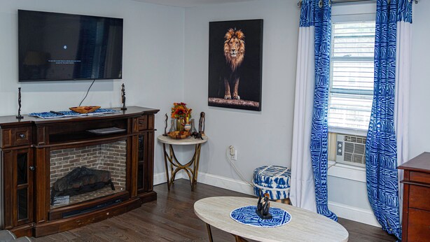 A living room with a fireplace, a television mounted on the wall, a framed picture of a lion, and a window with blue patterned curtains. - Charming 3-bedroom apartment with WiFi, AC in lovely Leominster (Leominster)