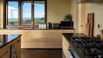 Microones, forn, placa de cuina i rentaplats