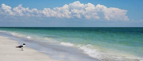 Beach nearby, sun loungers, beach towels