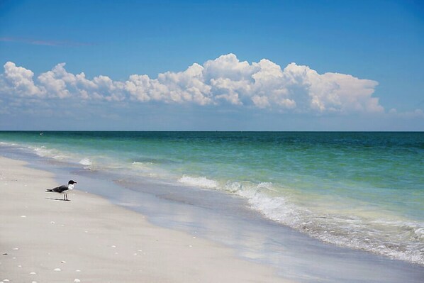 Beach nearby, sun-loungers, beach towels
