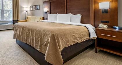 Spark by Hilton St. Augustine I 95