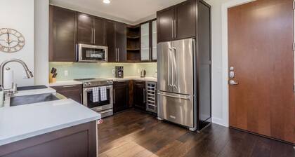 Constellations Elegant 1 BR in Downtown Houston