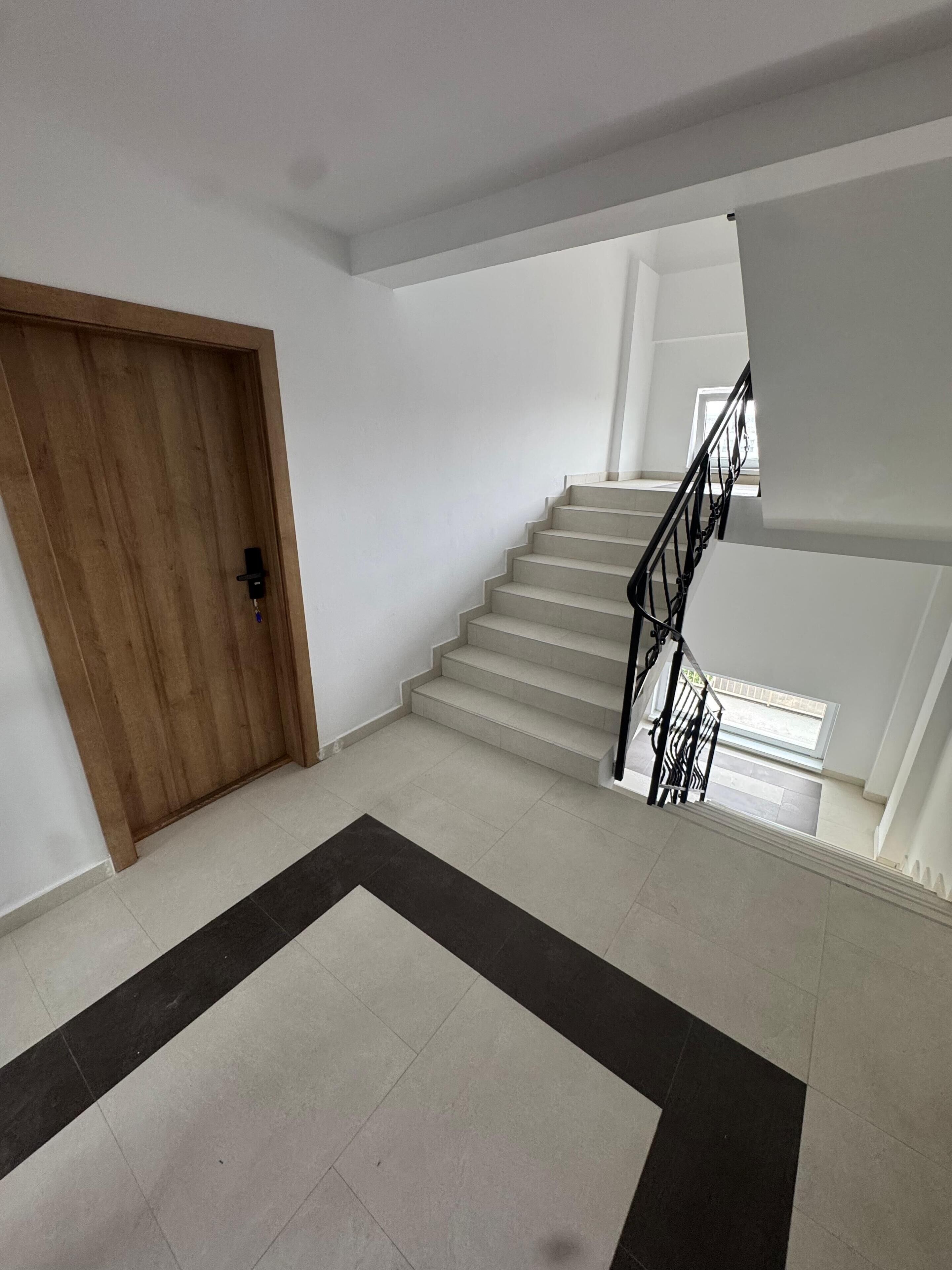 A staircase with a wooden door and a black railing.